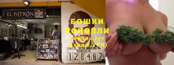 спайс Богородск