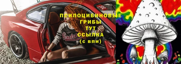 МДПВ Богородицк