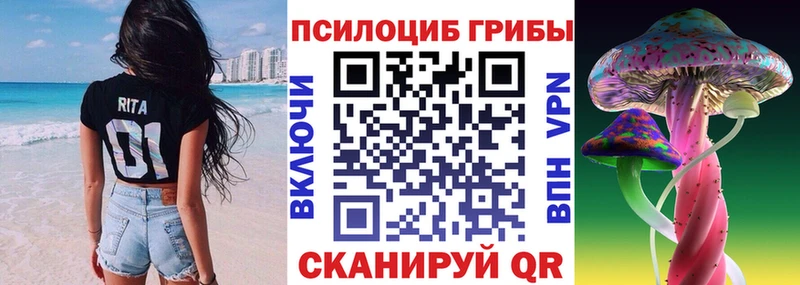 где купить наркоту  Трубчевск  Галлюциногенные грибы мухоморы 